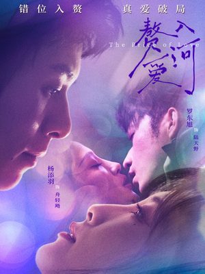 赘入爱河（71集）免费看全网短剧