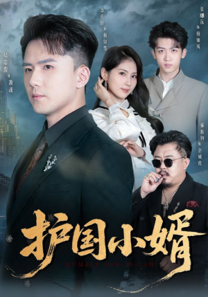 护国小婿（60集）全季一次看完