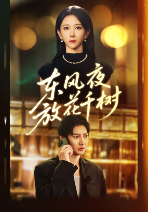 东风夜放花千树（91集）超好看短剧推荐