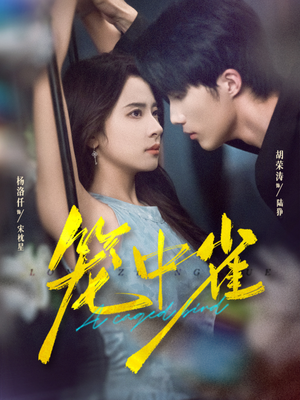 笼中雀（65集）去哪里看