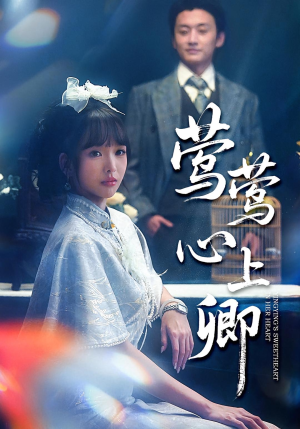 莺莺心上卿（60集）短剧热门合集