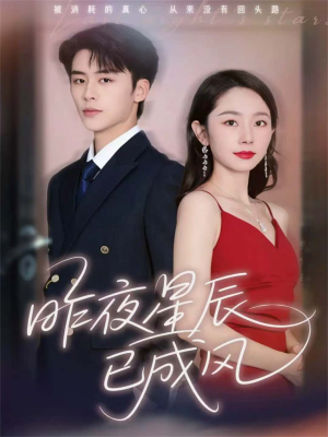 昨夜星辰已成风（75集）短剧追不停