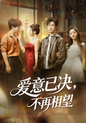 爱意已决不再相望（70集）简直不要太好看