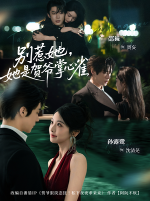 别惹她，她是贺爷掌心雀（69集）新短剧推荐