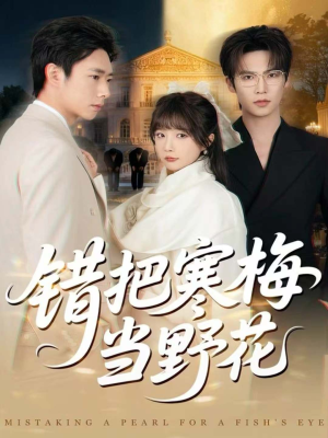 错把寒梅当野花（60集）最后的大结局