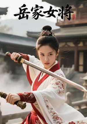 岳家女将（20集）免费短剧资源