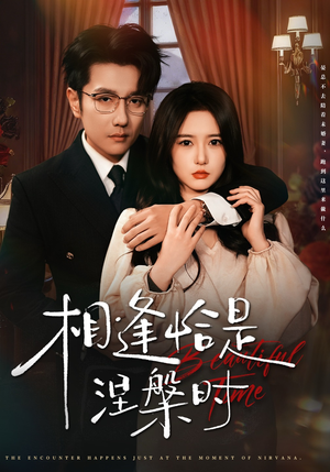 相逢恰是涅槃时（63集）怎么看全集