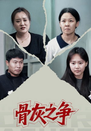 骨灰之争（30集）短剧追不停