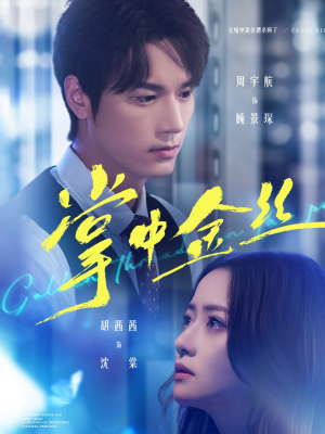 长姐她竟是隐藏大佬（60集）正能量短剧分享