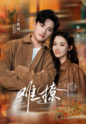 难撩（100集）免费版