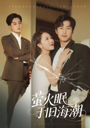 萤火眠于旧海潮（63集）哪个网站可以看