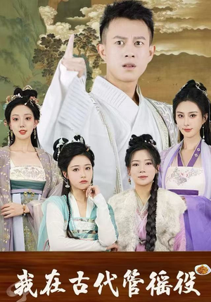 假官真坐（95集）看到了大结局