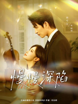 慢慢深陷（80集）好看到停不下来
