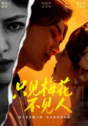 只见梅花不见人（63集）观看软件