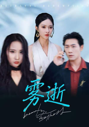 雾逝（30集）网盘在线观看