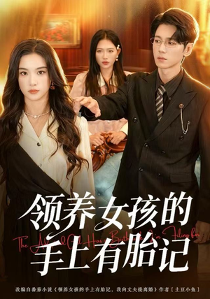 领养女孩的手上有胎记（60集）更新时间一览表