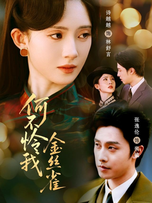 何不怜我金丝雀（60集）番茄短剧看全集