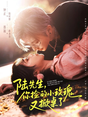 陆先生，你捡的小玫瑰又掀桌了（74集）贝贝短剧分享