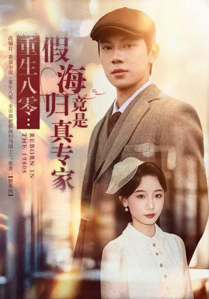 重生八零：假海归竟是真专家（65集）全集一次看完