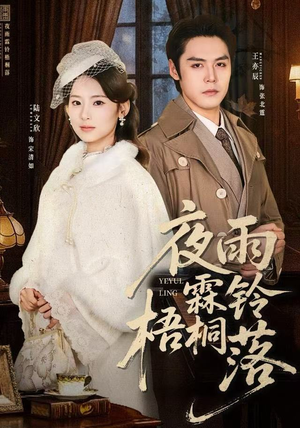 夜雨霖铃梧桐落（51集）全集完整版