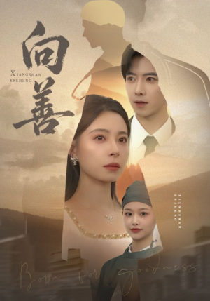 向善（51集）全集