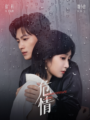 危情（65集）精彩好看的短剧