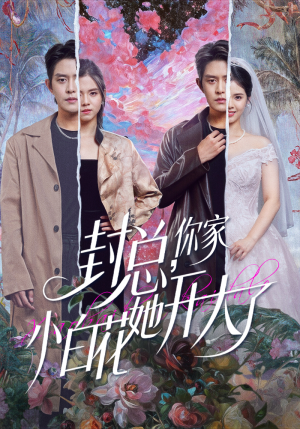 大佬你的牙粘口红了（60集）短剧热门推荐