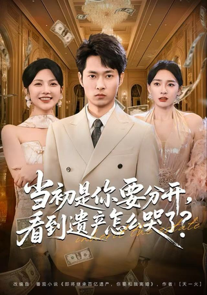 当初是你要分开，看到遗产怎么哭了？（70集）360网盘观看