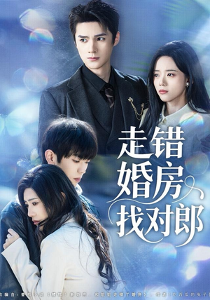 走错婚房找对郎（50集）爆火短剧推荐