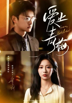 爱止青梅（60集）排行榜前十短剧