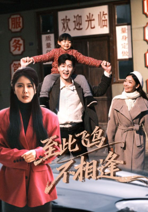 至此飞鸟不相逢(70集) 至此飞鸟不相逢(70集)超好看的短剧