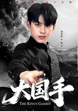 大国手(76集) 大国手(76集)更新时间一览表