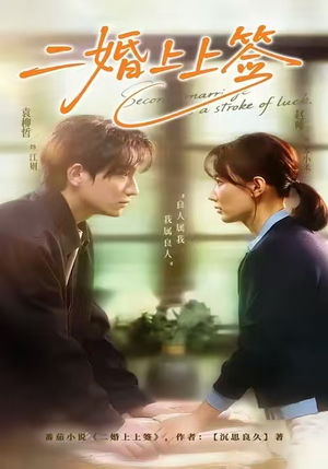 二婚上上签（71集）最热短剧抢先看
