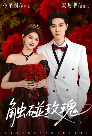 触碰玫瑰(80集) 触碰玫瑰(80集)海量资源免费看