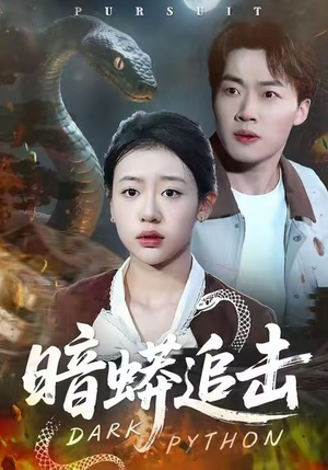 暗蟒追击（35集）短剧中追到爽
