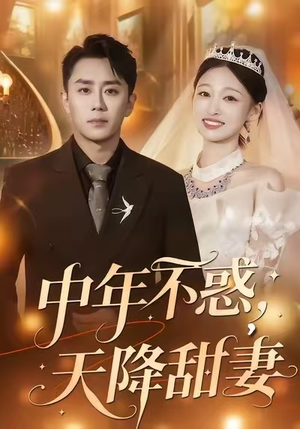 中年不惑，天降甜妻（60集）百度网盘资源