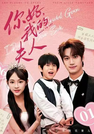 顾总，我才是你的夫人（65集）演员表