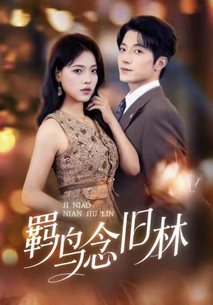 羁鸟念旧林(60集) 羁鸟念旧林(60集)在线播放