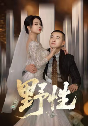 分手后，顶头上司要嫁我（70集）免费在线看全集