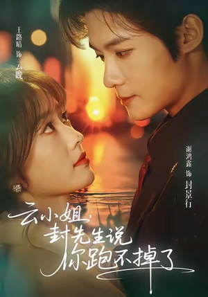云小姐，封先生说你跑不掉了（89集）看过的人都说好