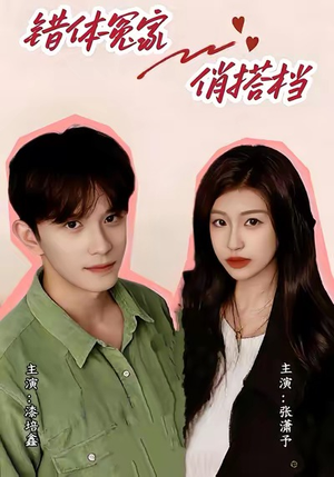 错体冤家俏搭档（60集）在哪里可以全集