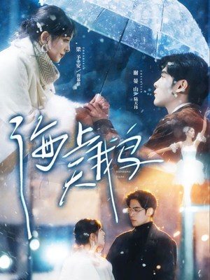 海上天鹅（70集）最热短剧抢先看