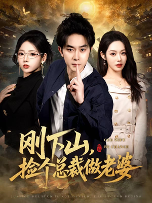 刚下山捡个总裁做老婆（80集）高清无码免费看