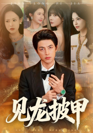 见龙披甲(70集) 见龙披甲(70集)短剧推荐分享