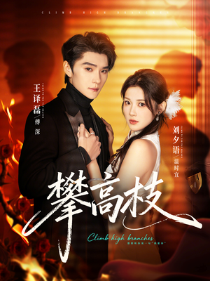 攀高枝(70集) 攀高枝(70集)古装短剧推荐
