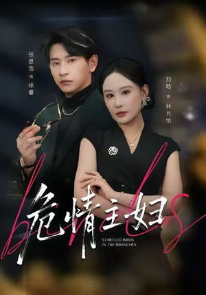 危情主妇（60集）全集一网打尽