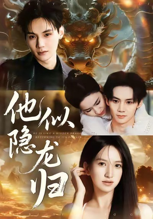 他似隐龙归（60集）演员表