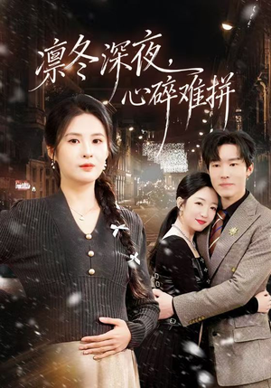 凛冬深夜，心碎难拼（64集）第一季
