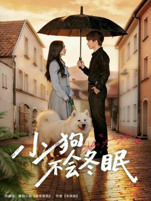 小狗不会冬眠（70集）每日短剧推荐