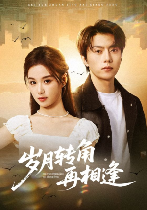 岁月转角再相逢(80集) 岁月转角再相逢(80集)短剧抢先看全集
